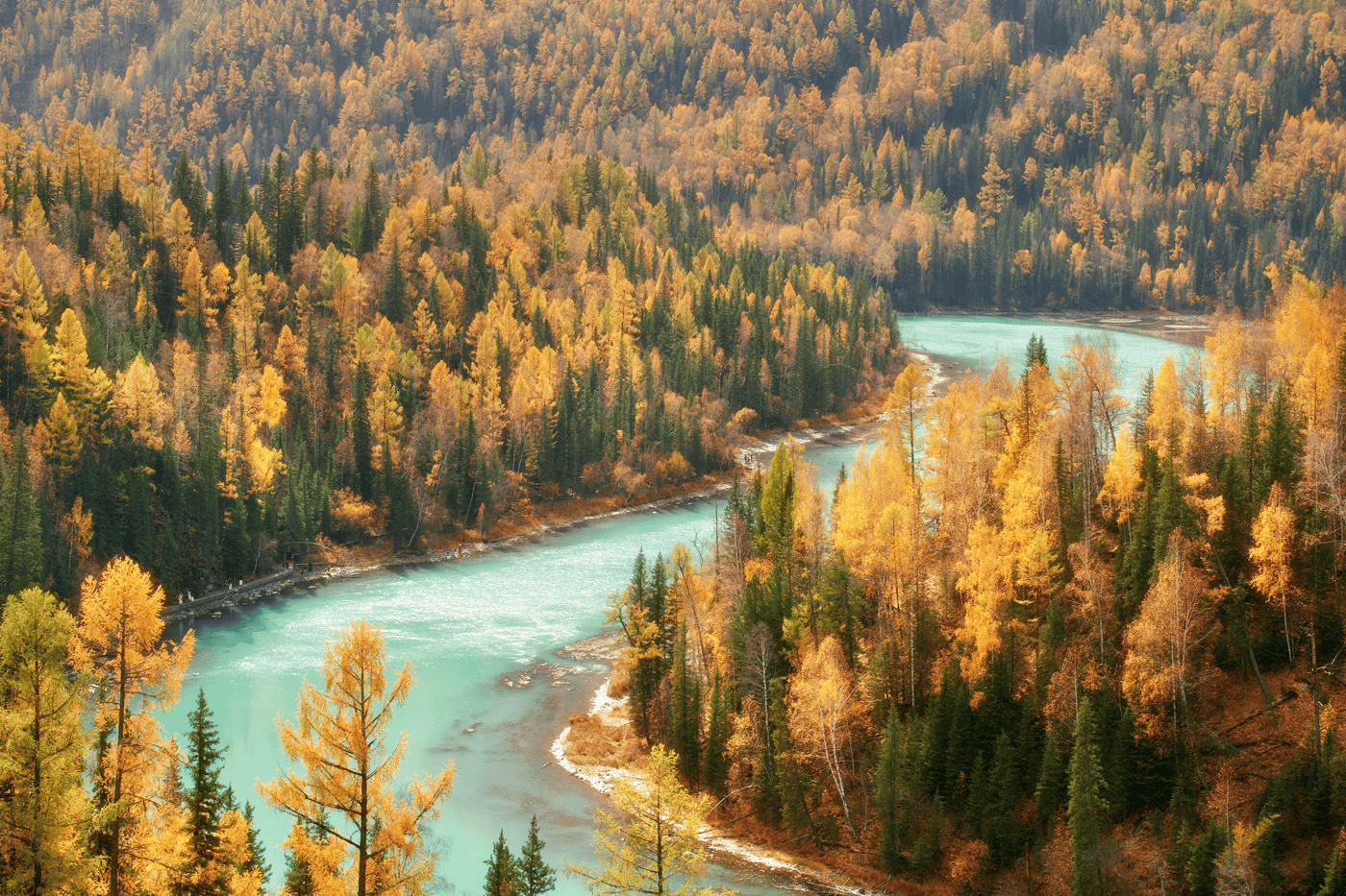 喀納斯自然景觀保護區 Kanas Nature Reserve